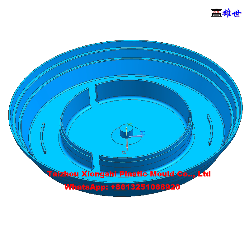 Professional Plastic Injection Flowerpot Mould (图13)