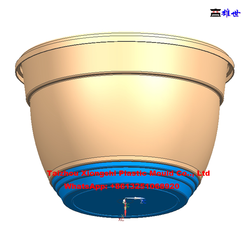 Professional Plastic Injection Flowerpot Mould (图16)