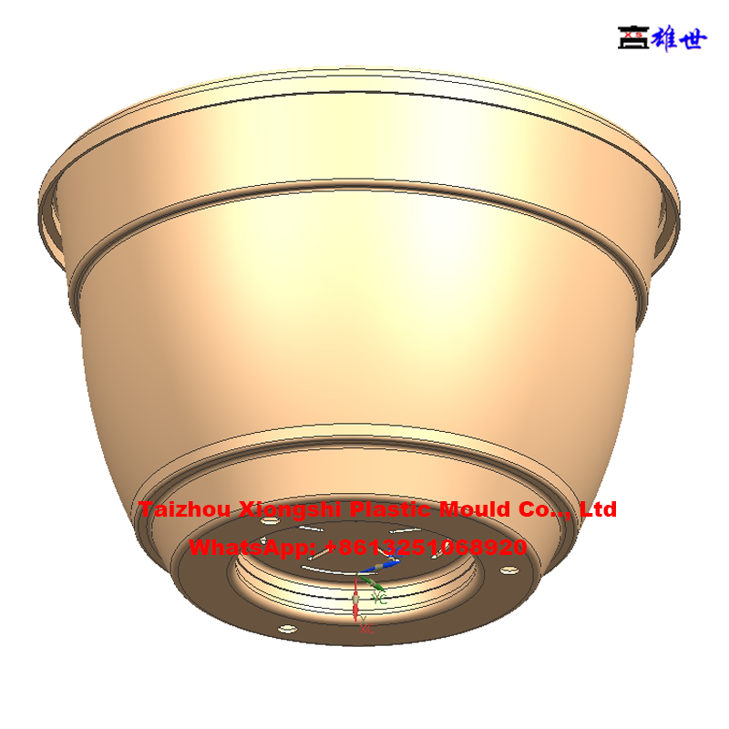 Professional Plastic Injection Flowerpot Mould (图17)