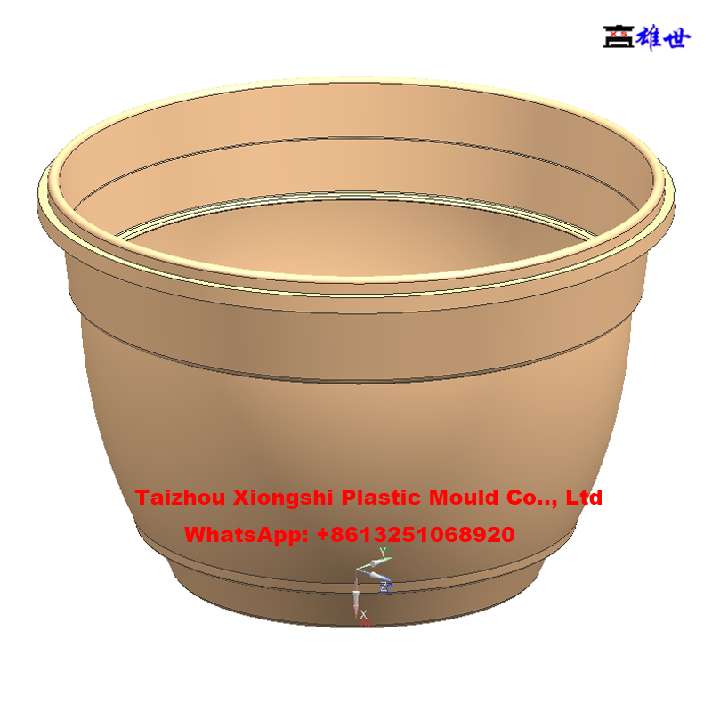 Professional Plastic Injection Flowerpot Mould (图18)