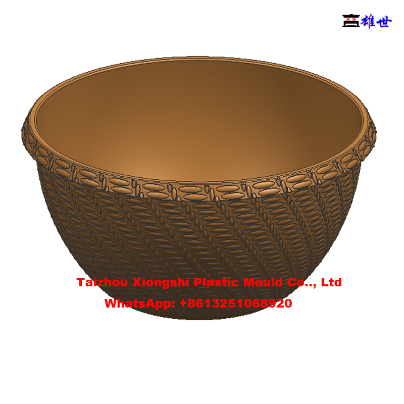 Professional Plastic Injection Flowerpot Mould (图19)