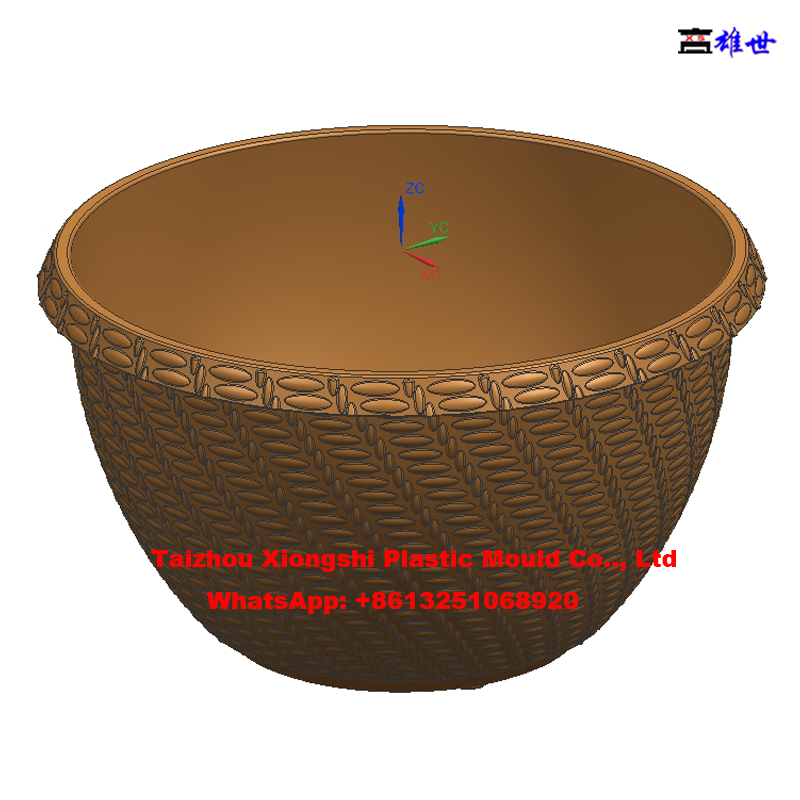Professional Plastic Injection Flowerpot Mould (图20)